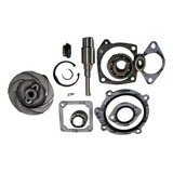Kit Reparo Da Bomba