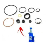 Kit Reparo Macaco Garrafa Bovenau Mt 12 12 Toneladas