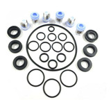 Kit Reparo Wap Mini Completo Gaxeta valvula orings retentor