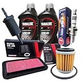 Kit Revisão Completo Fazer 250 2018 2023 Oleo Yamalube 10w40