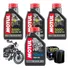 Kit Revisão Troca Óleo Motul Hiflo Harley Sportster 883 1200