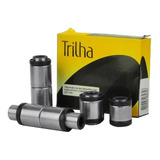 Trilha