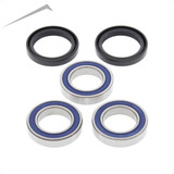 Kit Rolamentos Roda Traseira All Balls Cr125r Cr250r 25 1250