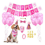 Kit Roupa Festa Aniversario Pet Decoração Bandana Chapeu