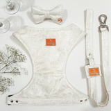 Kit Roupa Festa Vestido Noiva Casamento Pet Branco Tam Exg