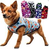 Kit Roupa Para Cachorro Roupinha Pet De Frio Conforto Cães De Pequeno Médio Grande Porte -Femea- 00-
