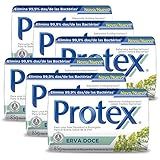 Kit Sabonete Em Barra Protex Erva Doce 85g Com 6 Unidades
