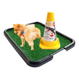 Kit Sanitário Canino Graminha Xixi Cães Poste Educador Pet