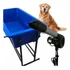 Kit Secador Pet   Banheira Pet   Brinde Para Banho E Tosa