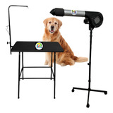 Kit Secador Pet Mesa