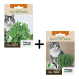 Topseed