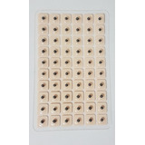 Kit Sementes Auricular Pinca