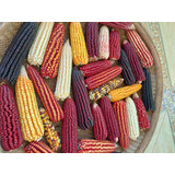 Kit Sementes De 8 Variedades Para O Plantio