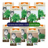 Pacotinhos