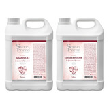 Kit Shampoo cond Prof Groomer Intense Sweet Friend