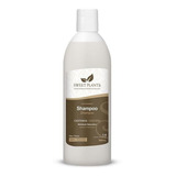 Kit Shampoo Condicionador E Perfume Castanha Sweet Friend