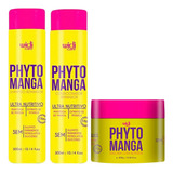 Kit Shampoo Condicionador Máscara Phyto Manga Widi Care