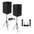 Kit Som Dn 15 525w Microfone Duplo S Fio Pedestais Show Bar
