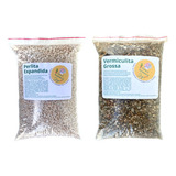 Kit Substrato Perlita E Vermiculita 8 L Cactos E Suculentas