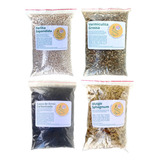 Kit Substrato Perlita Vermiculita Arroz E Musgo 16 Litros