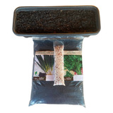 Kit Substrato Triplo Casca De Pinus Turfa Vermiculita 1 6kg