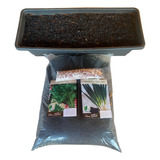 Kit Substrato Triplo Casca De Pinus Turfa Vermiculita 3 2kg