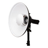 Dish