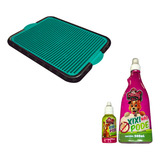 Kit Tapete Higiênico Verde  Educador Canino Xixi Pode E Não