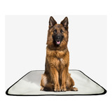 Kit Tapetes Higiênico Lavável Super Absorção 3 G 90x100 Cm