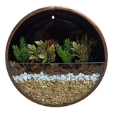 Decorativo