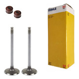 Kit Valvula Adm Escape Retentor Yamaha Factor Ybr 125 2009