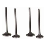 Kit Válvula Admissão Escape Cb 300 Tornado Twiste 4 Peças