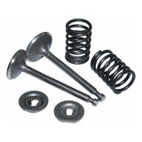 Kit Válvula Admissão Escape Mola P Gasolina 5 5hp 6 5hp 7hp
