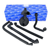 Kit Valvula Pulmao Pcv