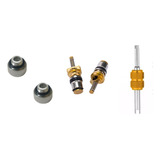 Kit Valvula Saca Renault