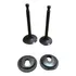 Kit Válvula Trava Exaustão Motor 13hp 15hp Branco Buffalo