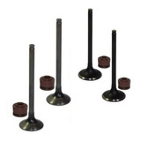 Kit Válvulas De Escape Admissão Guarnição Cb 250f Twister