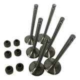 Kit Válvulas E Retentores Jinma Green Horse 454 Motor Sl3105