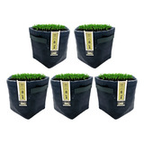 Kit Vasos Feltro 11 Litros Cultivo Indoor