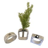 Kit Vasos Hidropônicos Granilite   Monteriggioni
