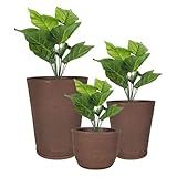 Kit Vasos Para Plantas Decorativos Grande Coluna Bojo Com Prato Escovado Luxo Polietileno Marrom 