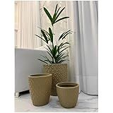 KIT VASOS POLIETILENO COLUNA BERLIAN GOLD 3D DECORATIVO P PLANTAS E JARDINS Bege