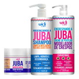 Kit Widi Care Juba Encrespando 1l Shampoo 1l Máscara