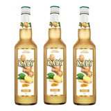 Kit Xarope Kaly Extrato De Gengibre 700ml 3 Unidades