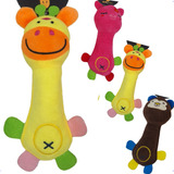 Kit4 Brinquedo Pet Raca