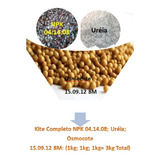 Kite 1kg Npk 04 14 08