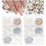 Kits Holográficos Para Arte Em Unhas Com Lantejoulas E Glitter 12 Caixas Unhas 3D Flocos Metálicos Brilhantes Pó Acrílico Lantejoulas Para Decoração De Unhas Pontas De Manicure Holográficas Cor Vintage 2 Conjuntos 