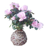 Kokedamas Azaleia Adultas C Flores Fertilizada Foto Reais