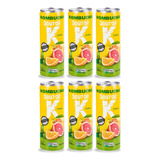 Kombucha Lata Mate Scoby Orgânica Vegana Citrus Dr K 6x350ml