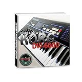 KORG DW 6000 Grande Fábrica Original E Nova Biblioteca De Som Criada Editores Em CD Ou Download